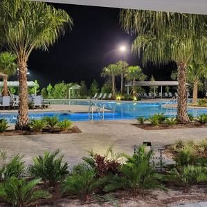 Meet your Posher, Sandy